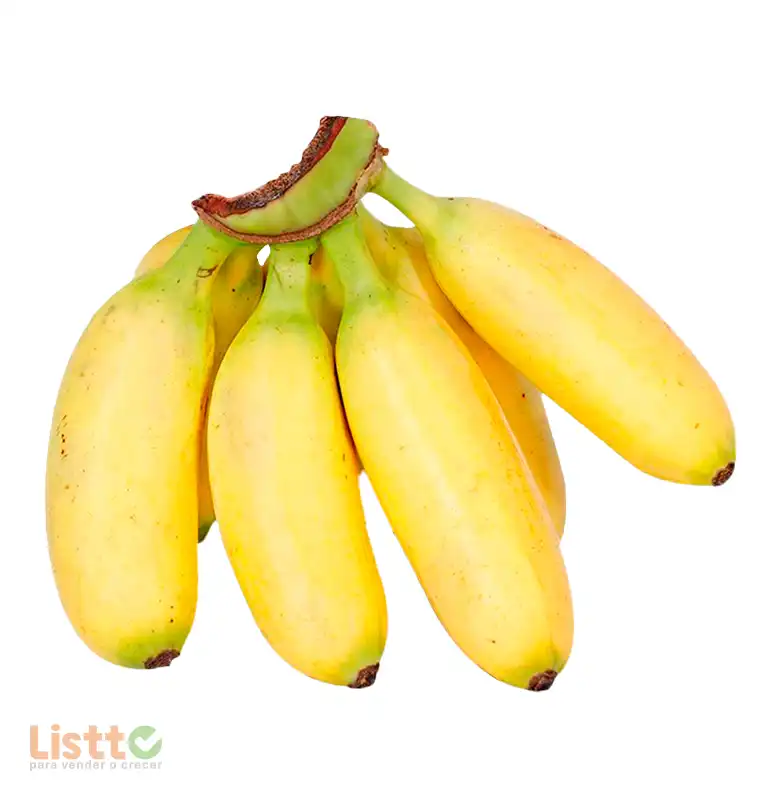 Plátano Dominico kg.